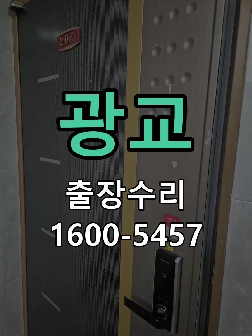 광교 배선·접점 정리