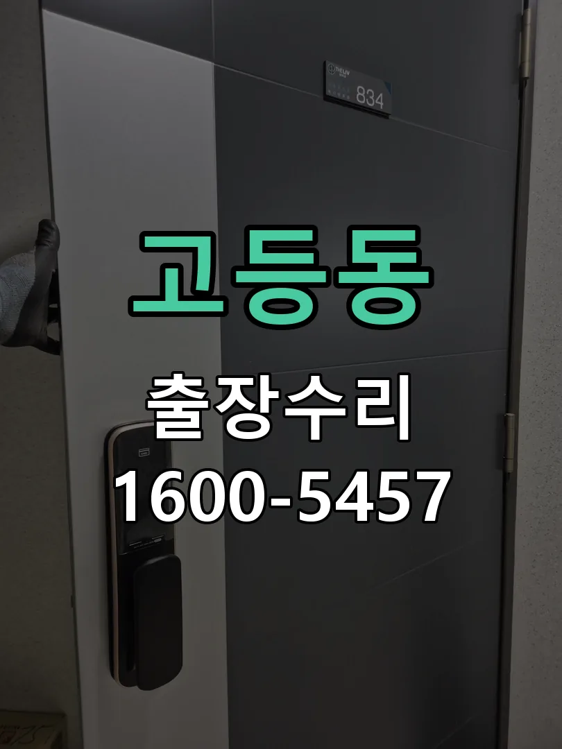고등동 현장 도착 후 상태 확인