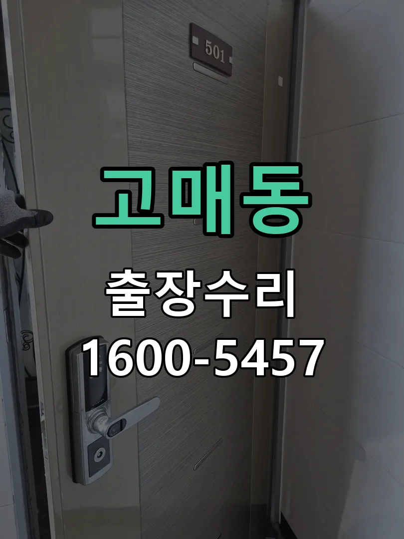 고매동 현장 도착 후 상태 확인