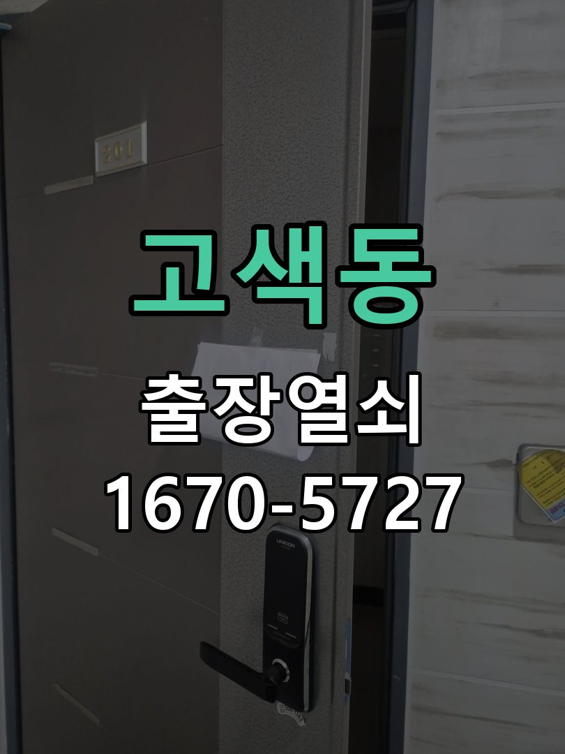 고색동 보조키 특수키 안전고리 추가 설치 특수 핀 실린더 보조키 및 빗장형 고급 안전고리 정밀 점검 및 교체