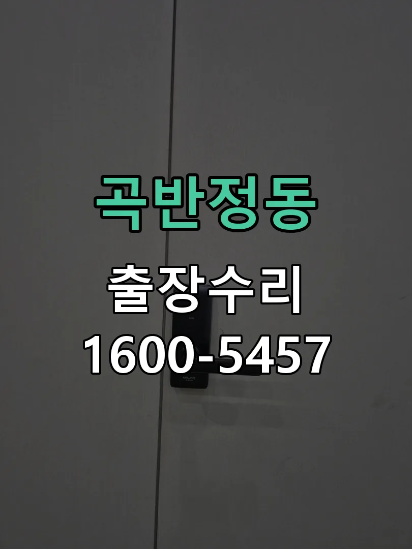 곡반정동 잠금장치 동작 확인