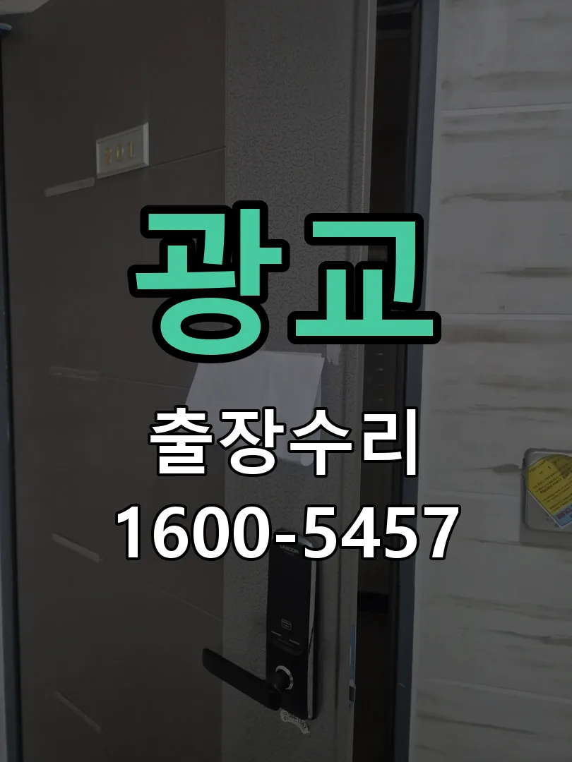 광교 배선·접점 정리