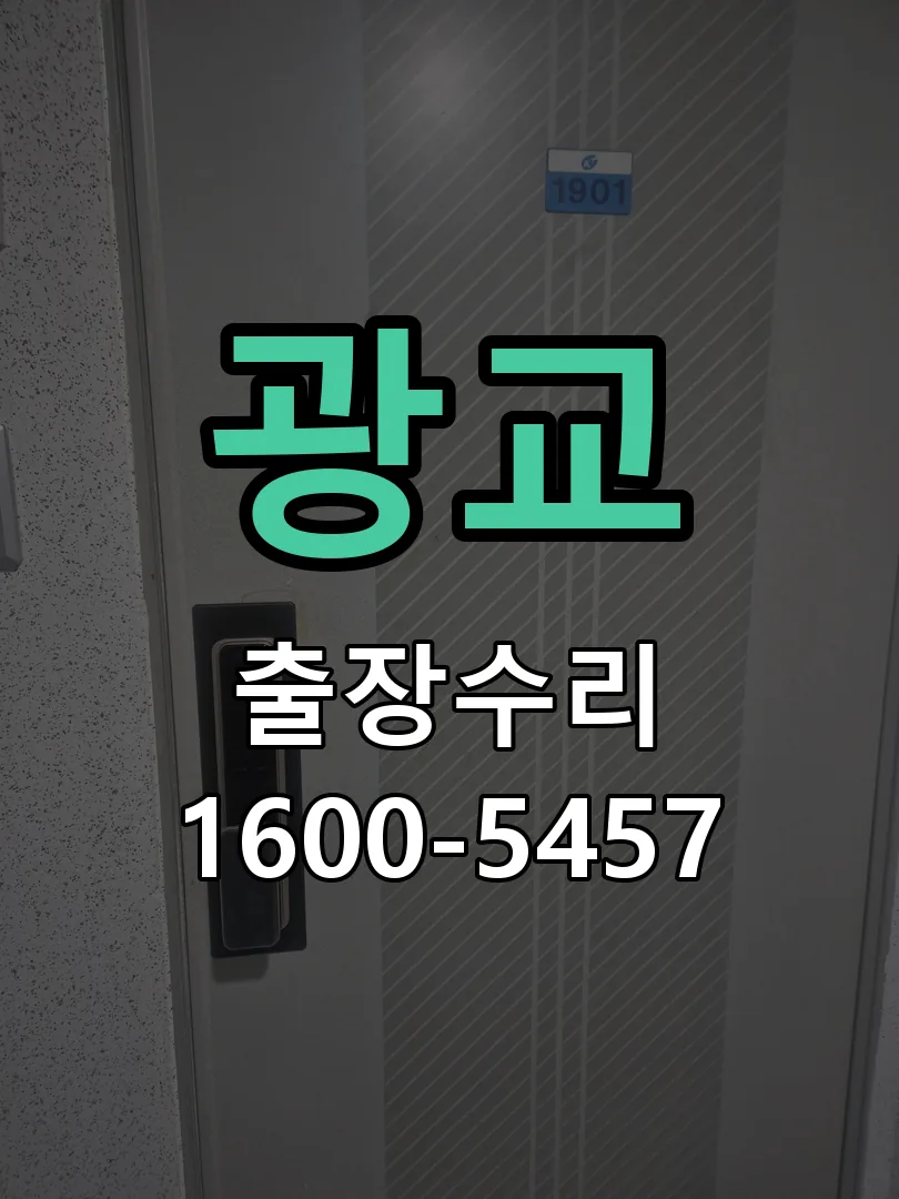 광교 배선·접점 정리