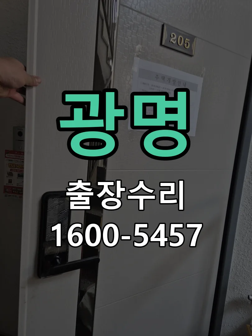 광명 본체 분리 및 내부 점검