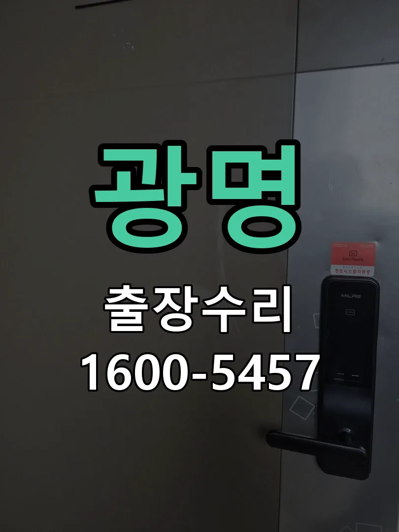 광명 배선·접점 정리