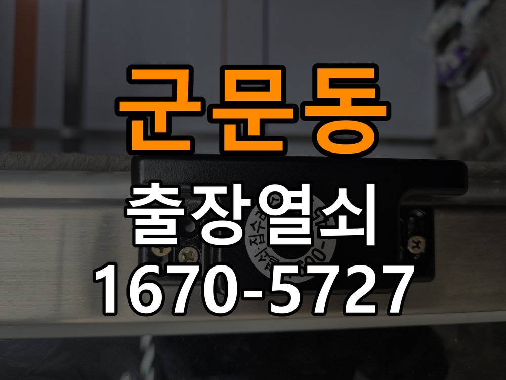 군문동 창고 대문 개폐기 열쇠 고장 교체 AC 220V/DC 12V 호환 전자 대문 개폐기 정밀 점검 및 교체