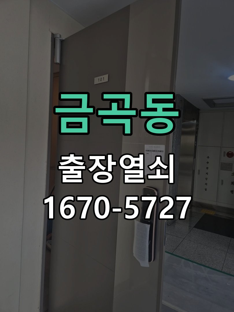 금곡동 창고 대문 개폐기 열쇠 고장 교체 주택 대문 개폐기 버튼을 눌러도 문이 열리지 않고 걸림 현장 출장
