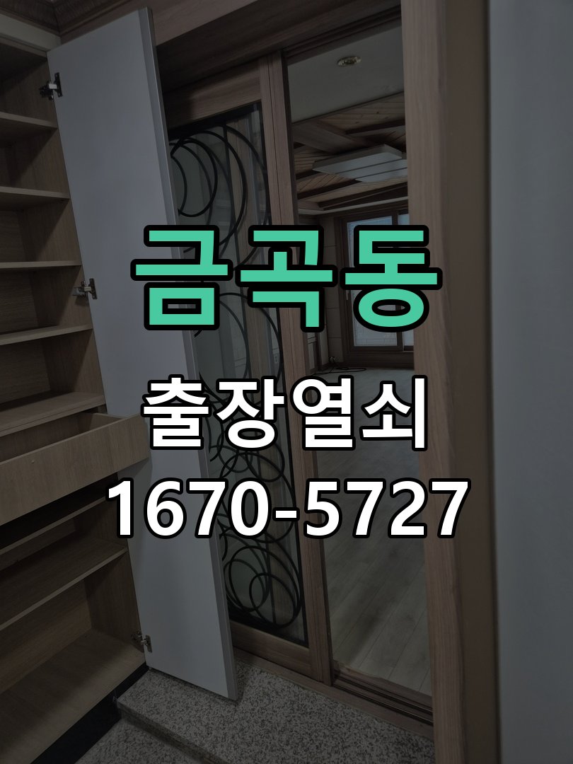 금곡동 창고 대문 개폐기 열쇠 고장 교체 AC 220V/DC 12V 호환 전자 대문 개폐기 정밀 점검 및 교체