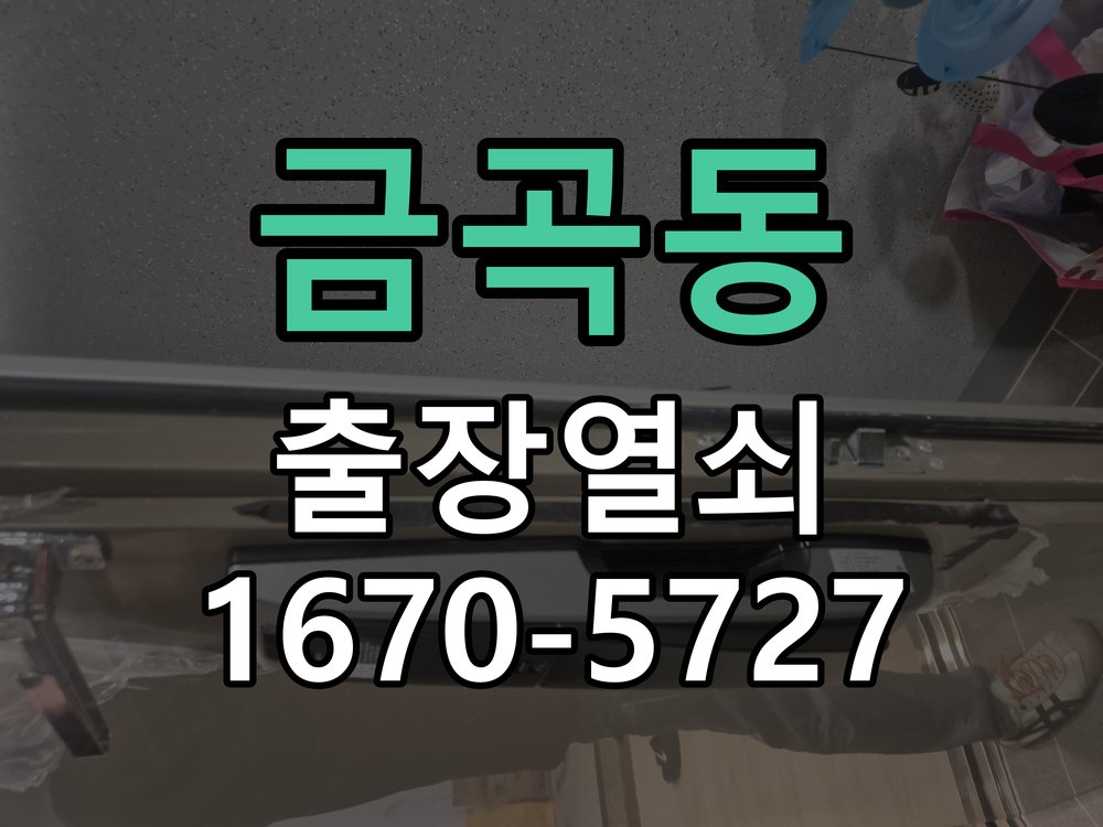 금곡동 창고 대문 개폐기 열쇠 고장 교체 작업 완료 후 정상 작동 확인