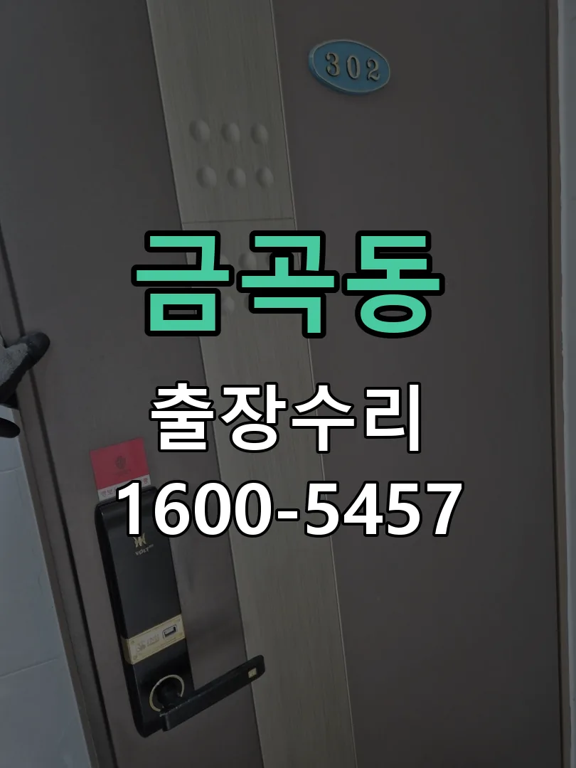 금곡동 도어락 열쇠 출장 수리