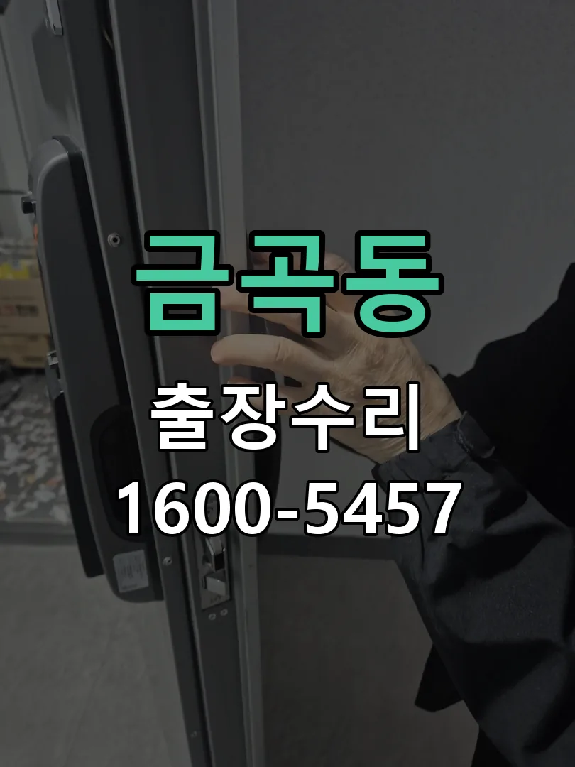 금곡동 잠금장치 동작 확인