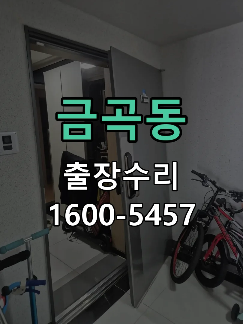 금곡동 배선·접점 정리