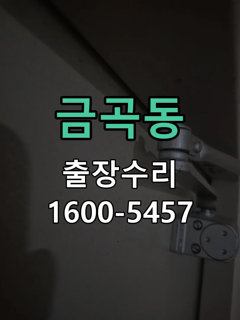 금곡동 잠금장치 동작 확인
