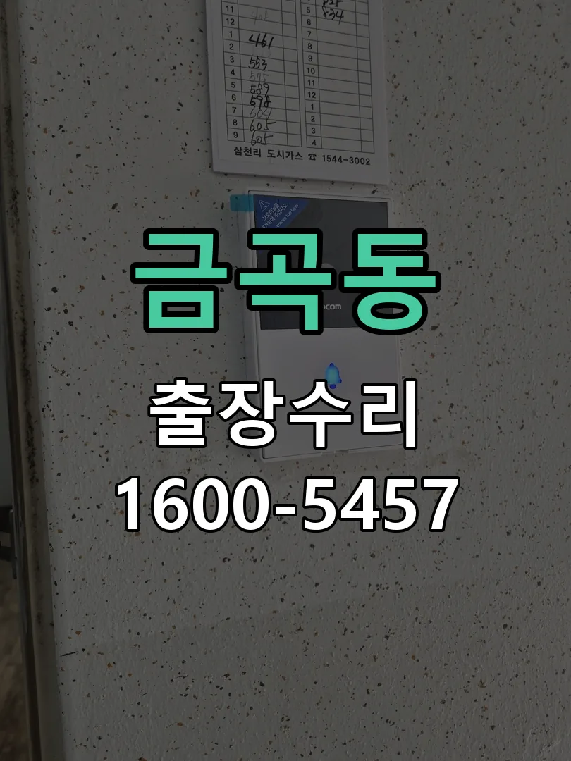 금곡동 도어락 열쇠 출장 수리