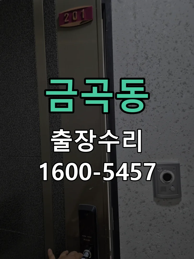 금곡동 잠금장치 동작 확인