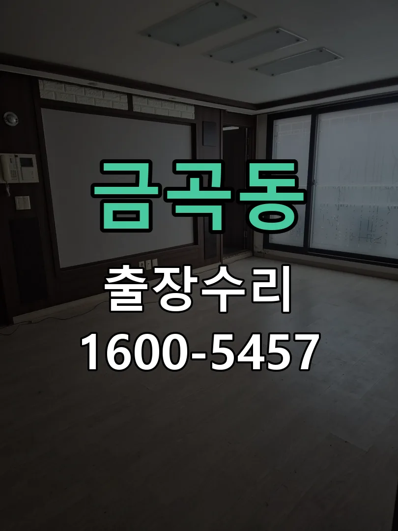 금곡동 잠금장치 동작 확인