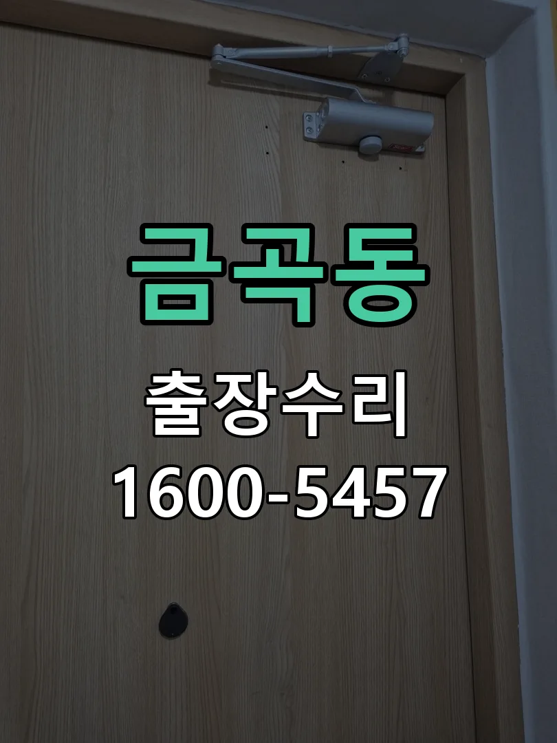 금곡동 배선·접점 정리