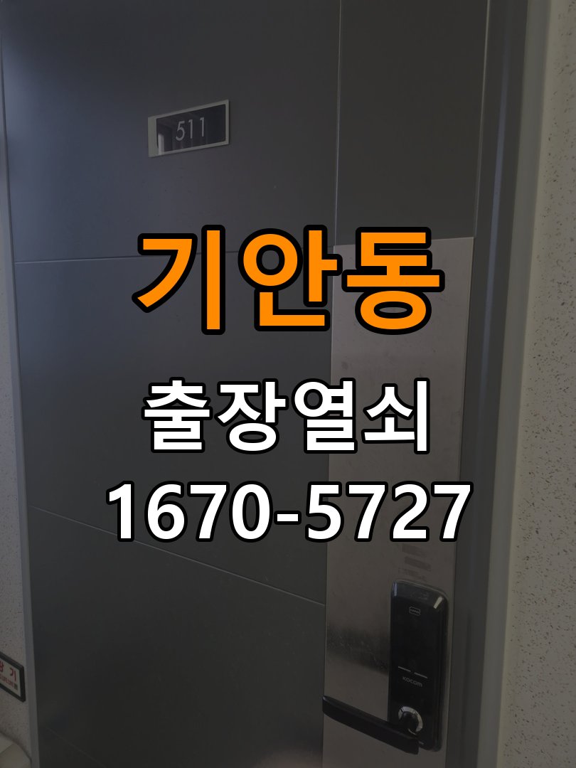 기안동 현관문 보조키 열쇠 분실 키통 교체 특수 딤플키 실린더 보조키 교체 정밀 점검 및 교체
