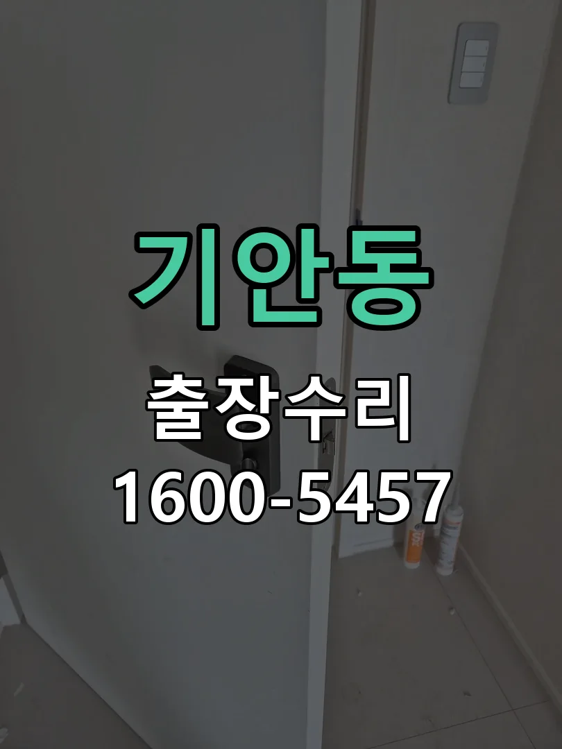 기안동 도어락 열쇠 출장 수리