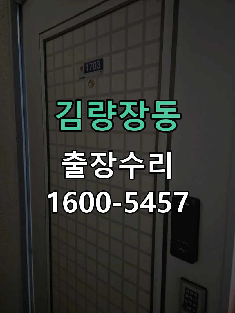 김량장동 열쇠가 부러져 잠금이 풀리지 않음 실린더 분리 및 내부 점검