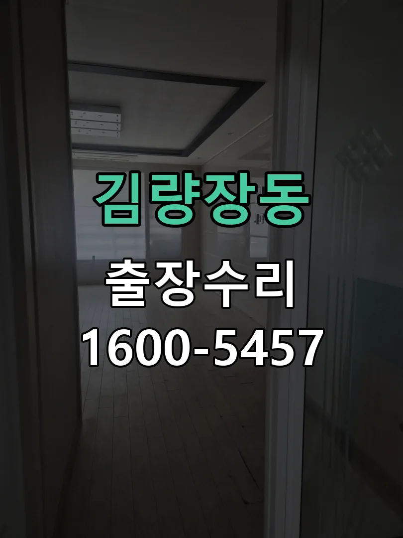 김량장동 열쇠가 부러져 잠금이 풀리지 않음 잠금장치 동작 확인