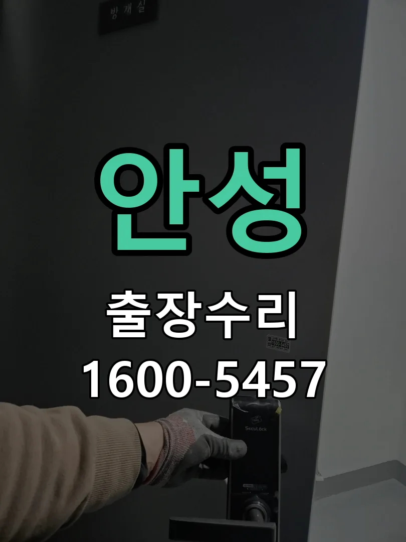 안성 잠금장치 동작 확인