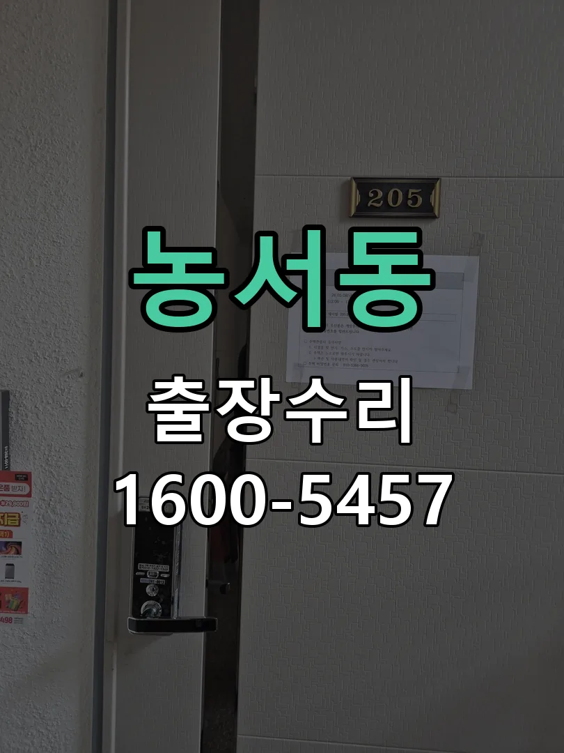농서동 도어락 열쇠 출장 수리