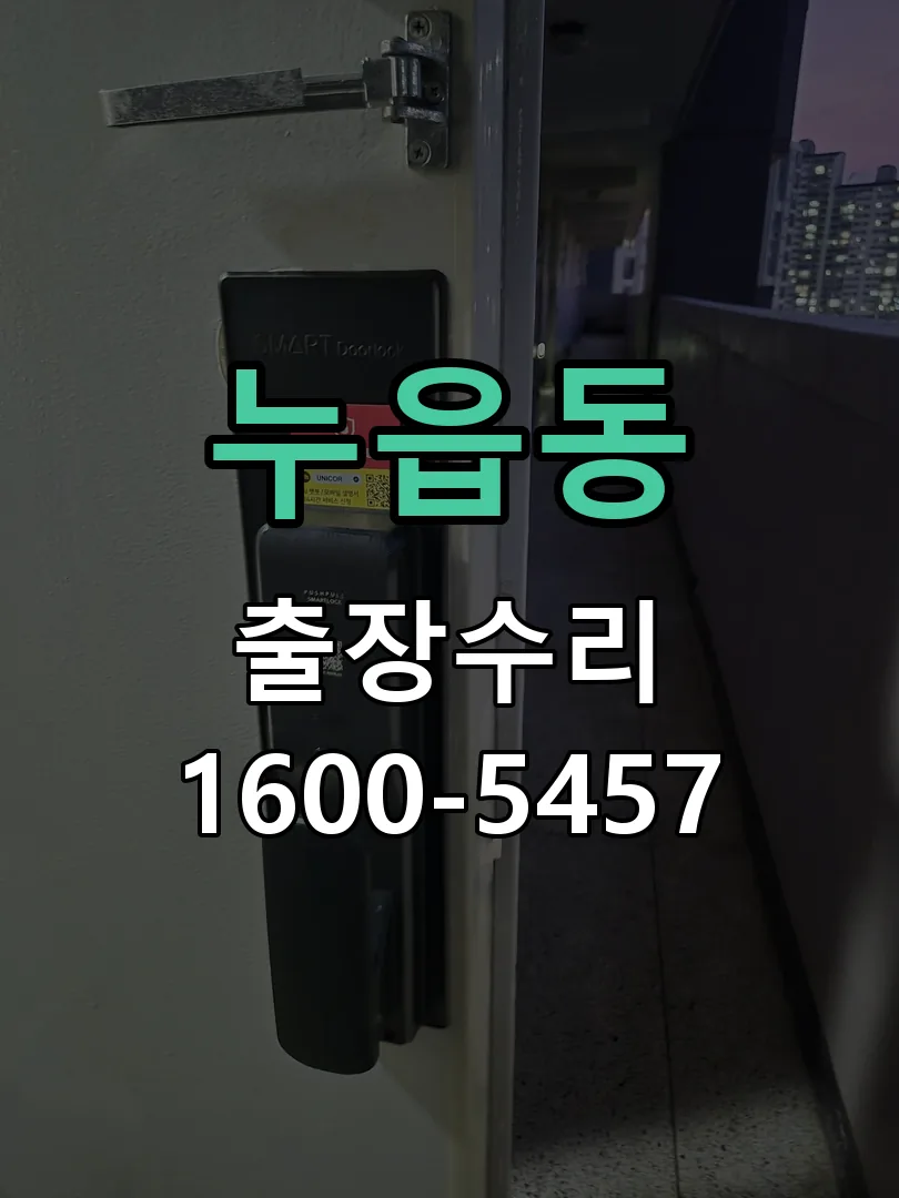 누읍동 도어락 열쇠 출장 수리