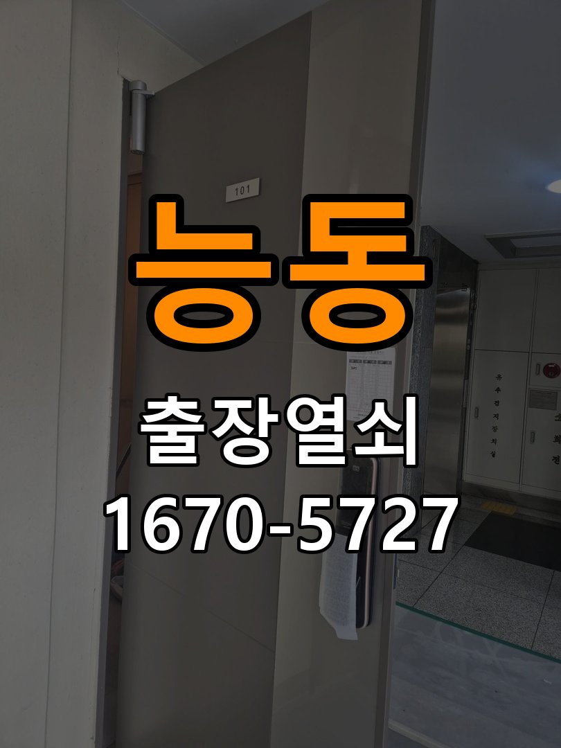 능동 보조키 특수키 안전고리 추가 설치 특수 핀 실린더 보조키 및 빗장형 고급 안전고리 정밀 점검 및 교체