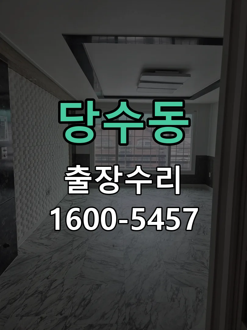 당수동 잠금장치 동작 확인