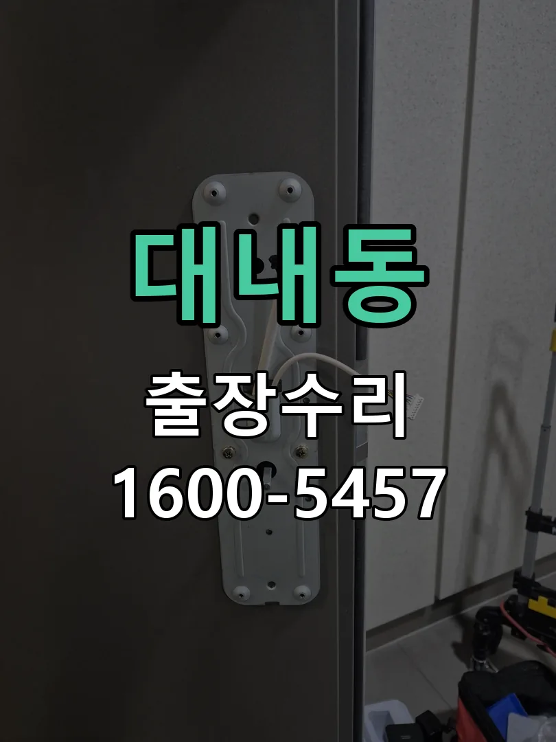 대내동 잠금장치 동작 확인