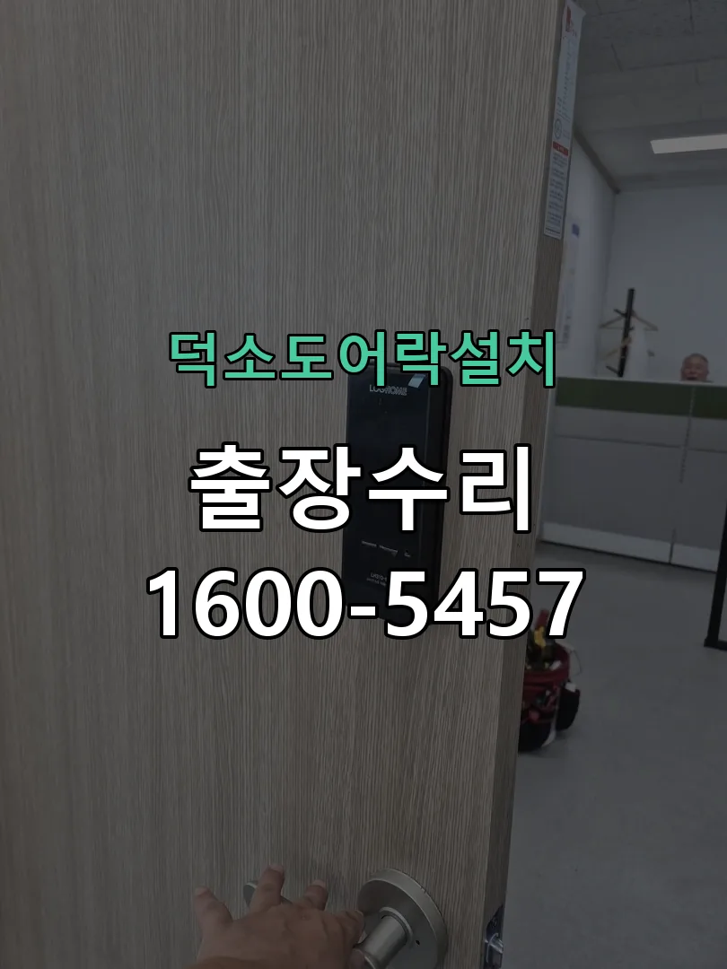 경기 배선·접점 정리