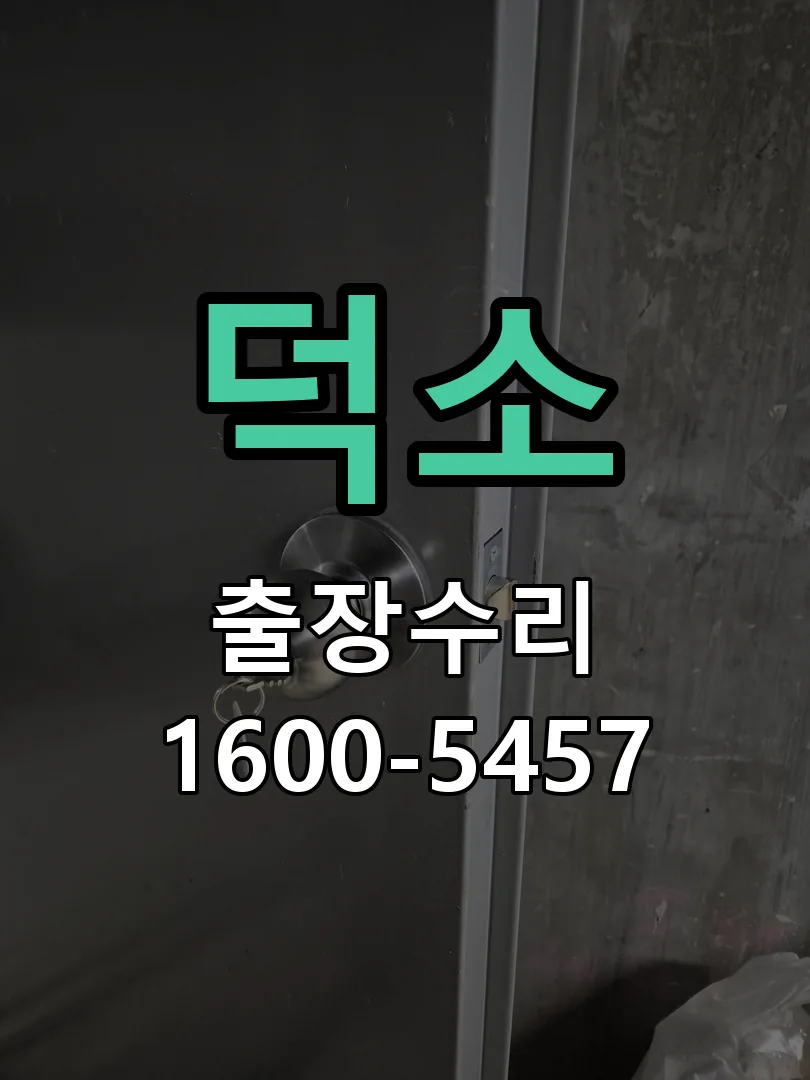 경기 배선·접점 정리