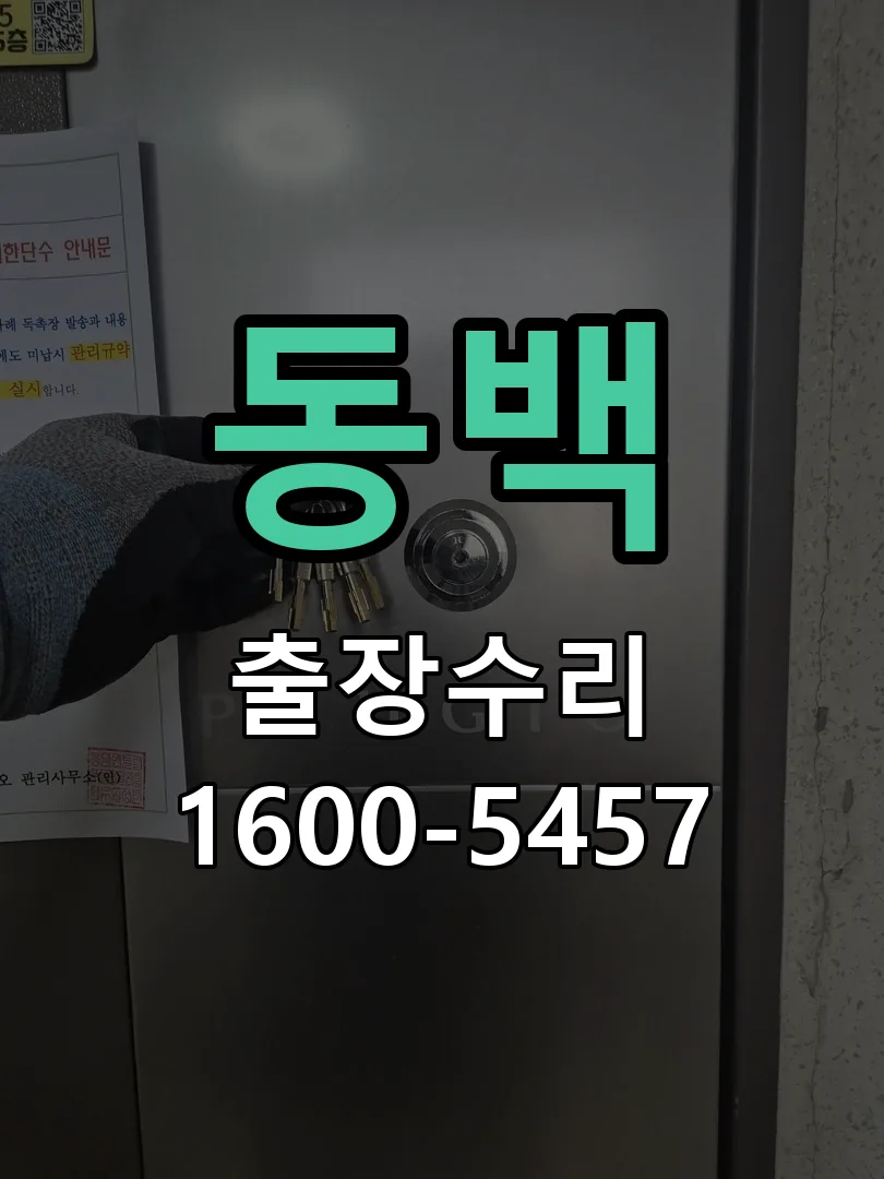 동백 배선·접점 정리