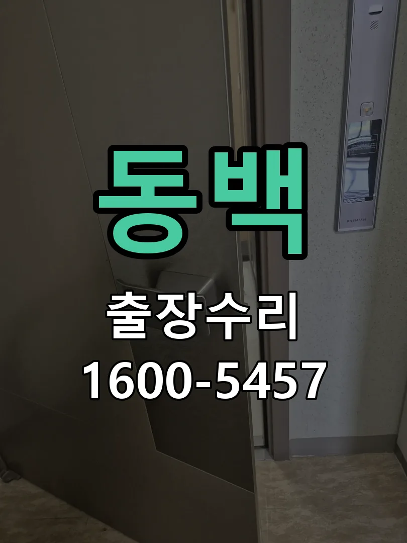동백 본체 분리 및 내부 점검
