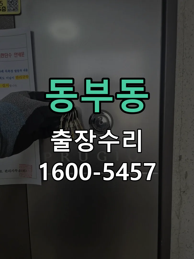 동부동 배선·접점 정리