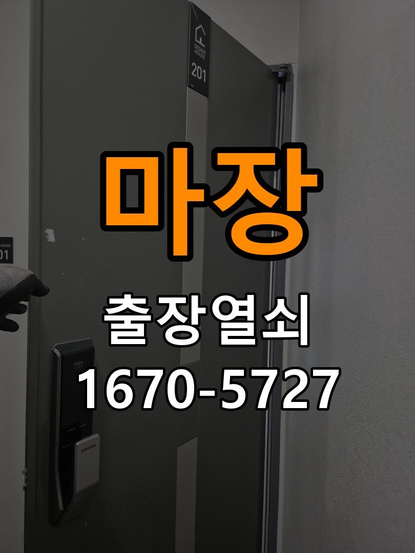 마장 보조키 특수키 안전고리 추가 설치 특수 핀 실린더 보조키 및 빗장형 고급 안전고리 정밀 점검 및 교체