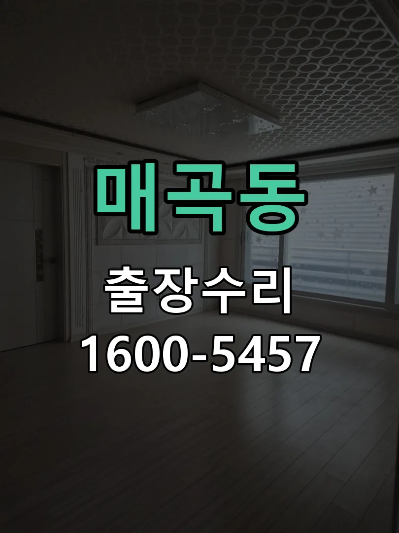 매곡동 잠금장치 동작 확인