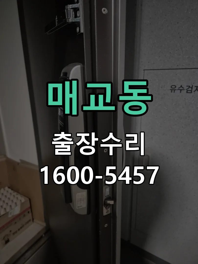 매교동 배선·접점 정리