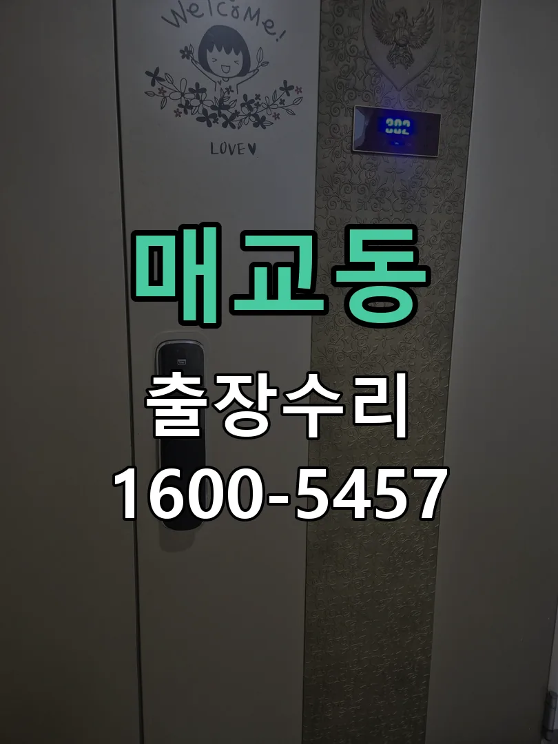 매교동 도어락 열쇠 출장 수리