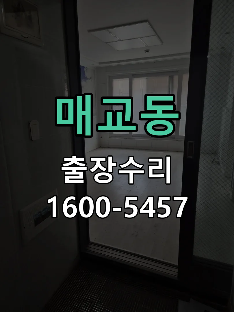 매교동 현장 도착 후 상태 확인