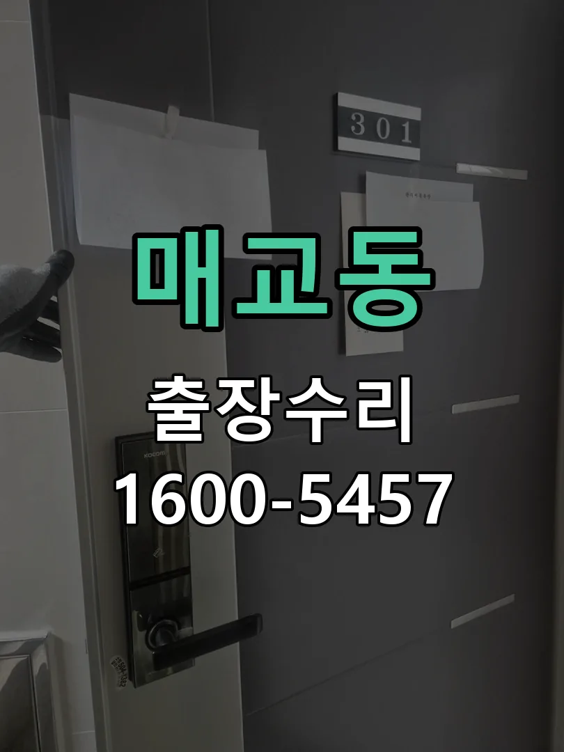 매교동 현장 도착 후 상태 확인