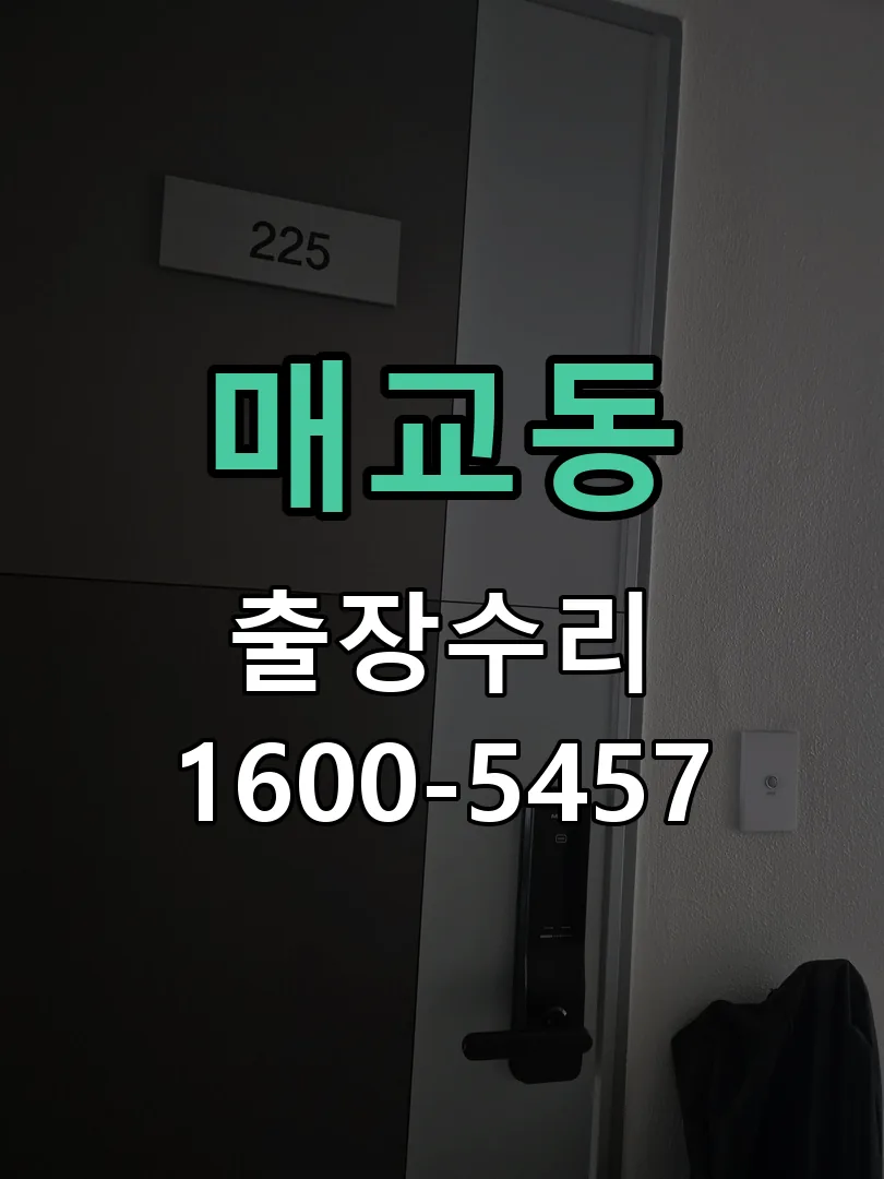 매교동 잠금장치 동작 확인