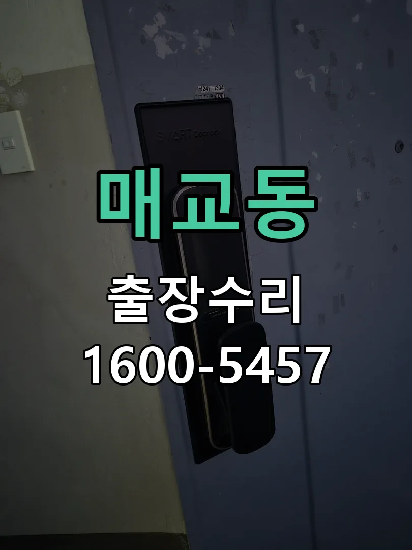매교동 잠금장치 동작 확인