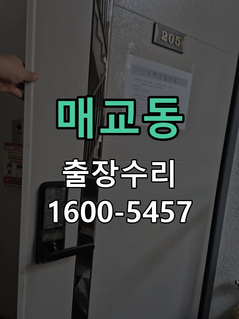 매교동 교체 작업 진행