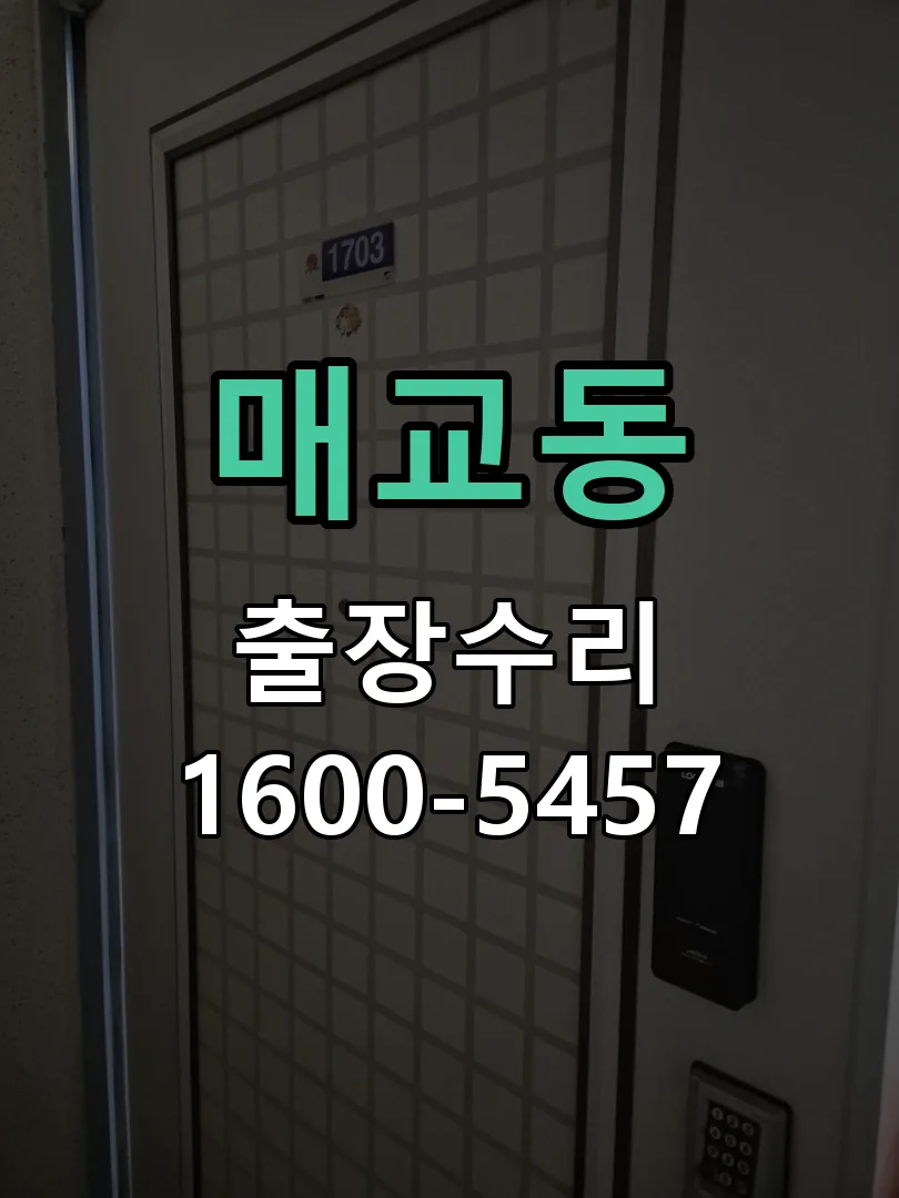 매교동 문틀 정렬 확인