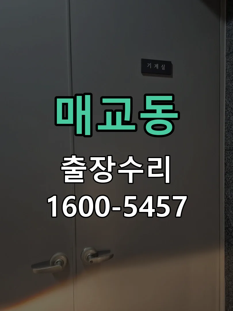 매교동 도어락 열쇠 출장 수리