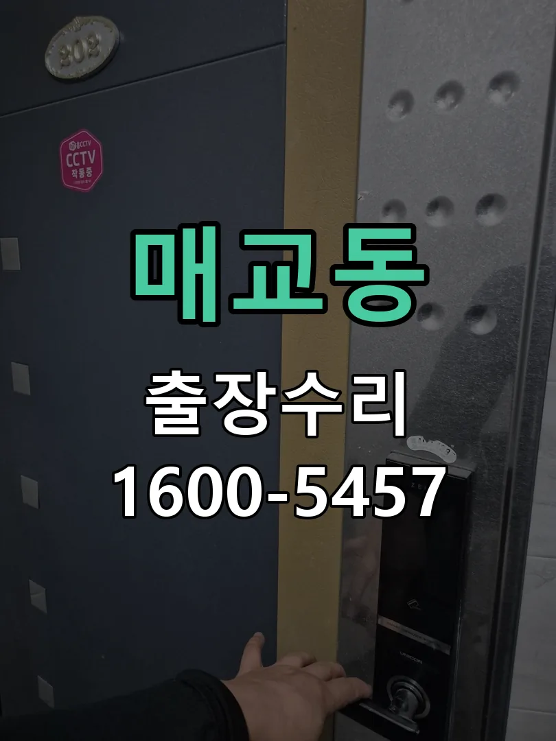 매교동 현장 도착 후 상태 확인