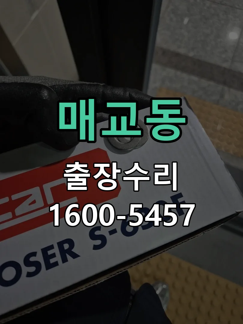 매교동 교체 작업 진행