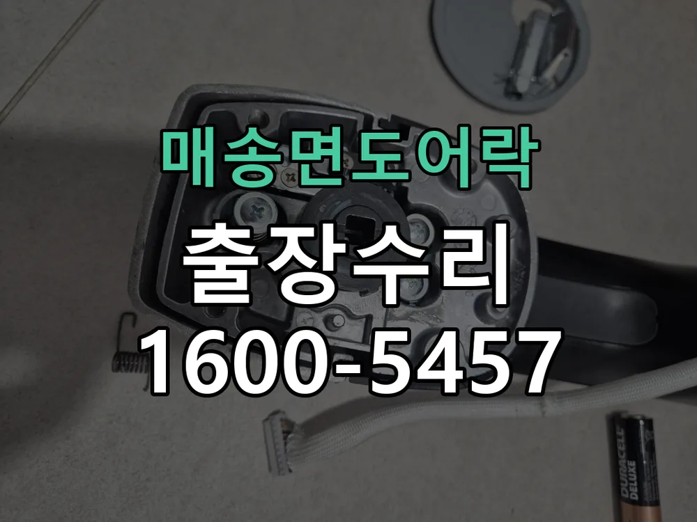 경기 현장 도착 후 상태 확인